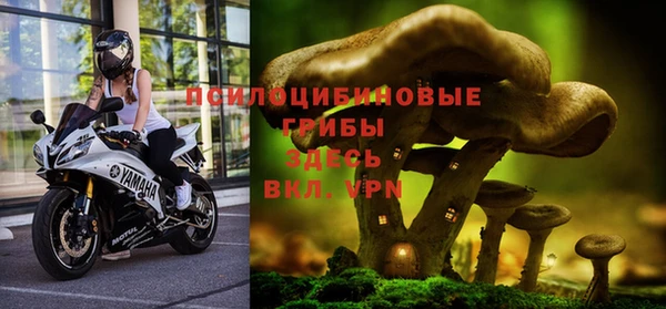 спайс Лихославль